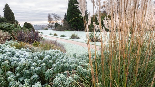 The garden in winter at Chirk Castle